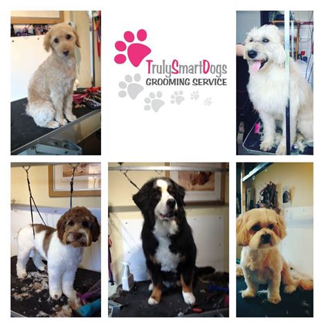 Smart Dogs Grooming Parlour